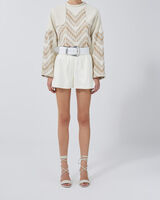 ALISSE image number null